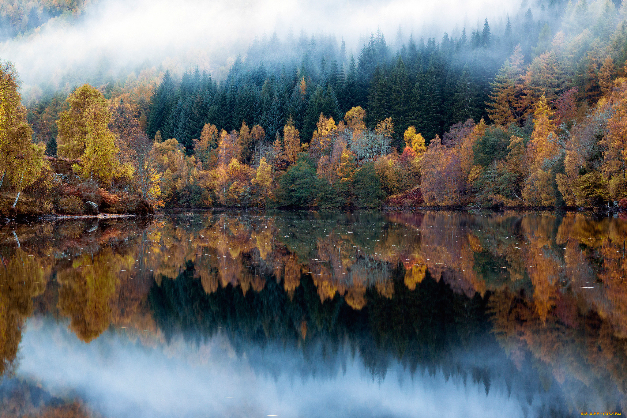 Natural fall. Природа осень. Осень озеро. Отражение природы в воде. Осенний лес.